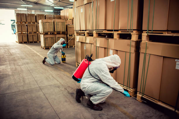 Wasp Removal Services in North Arlington, NJ
