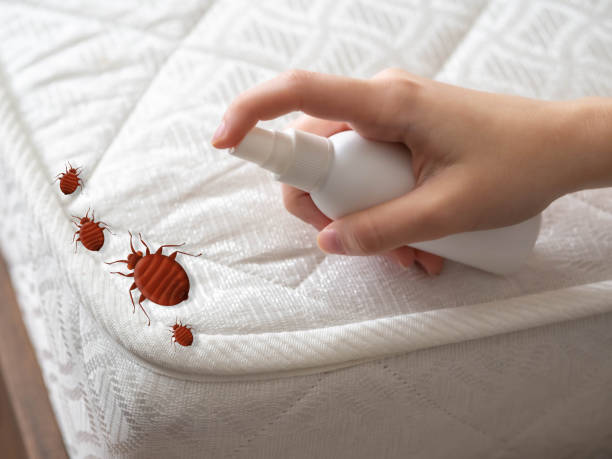 Best Local Pest Control Services  in North Arlington, NJ