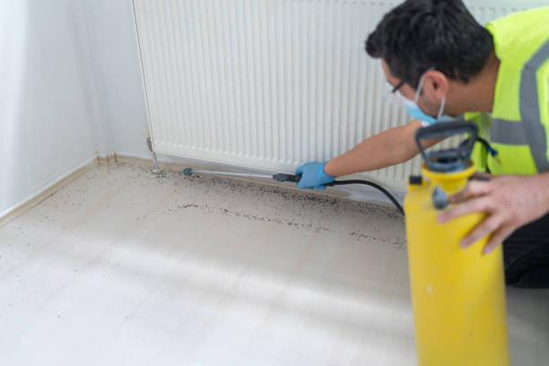 Best Rat Extermination Near Me  in North Arlington, NJ