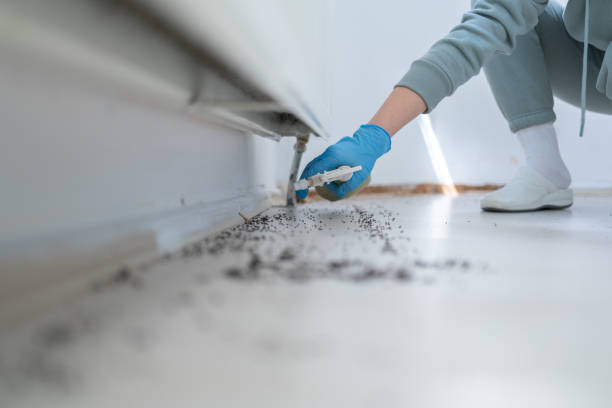 Best Pest Control Near Me in North Arlington, NJ